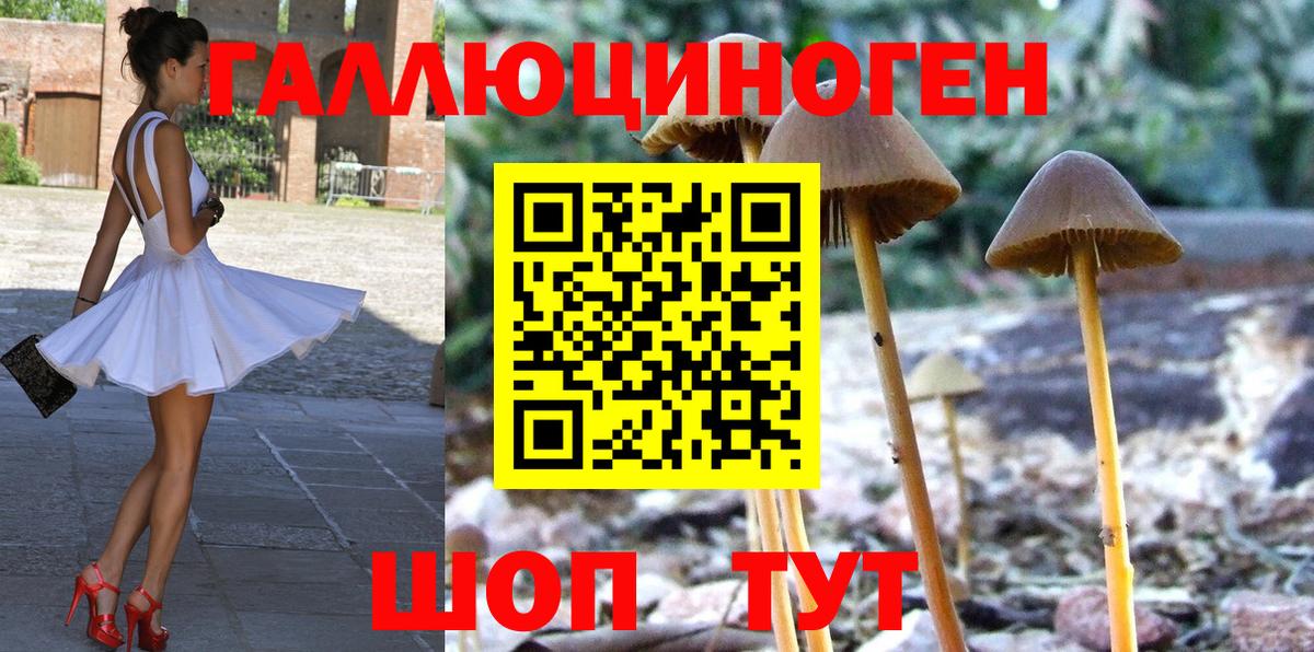 Ессентуки  Псилоцибиновые грибы MAGIC MUSHROOMS  Вход с VPN 